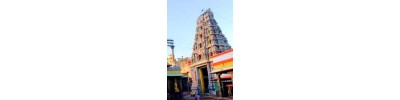 திருவல்லிக்கேணி - திருவேட்டீஸ்வரர்